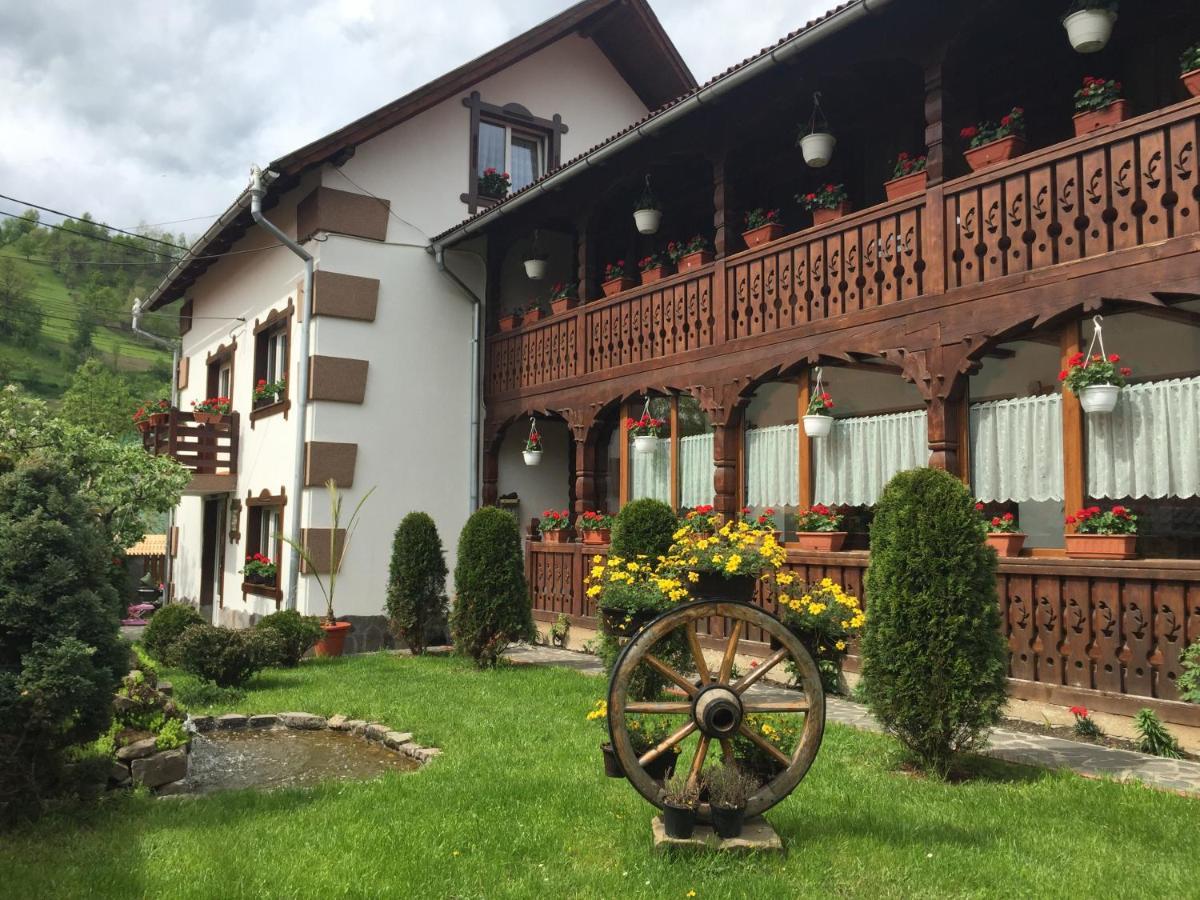 Pensiunea Cretuca Botiza Exterior photo